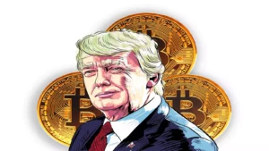 Electing Crypto Series