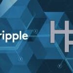 Ripple’s Hidden Road Buy Marks Major Crypto