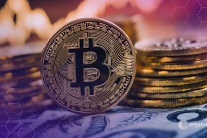 US Spot Bitcoin ETFs See Record Inflows as Crypto Scrutiny Grows