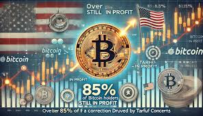Over 85% of Bitcoin Holders Are in Profit