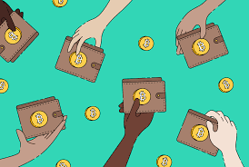 The Growing Trend of Multiple Crypto Wallets