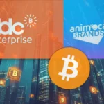 DDC Enterprise Partners with Animoca Brands to Boost Bitcoin Strategy with $100M Support