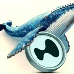 Hyperliquid (HYPE) Reclaims $25 as Whale Buying Fuels Altcoin Bounce