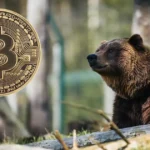 Chainlink Co-Founder Explains Why This Crypto Bear Market Feels Different
