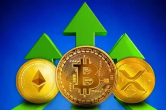 SEC Targets Donald Basile in $16M ‘Insured’ Crypto Token Fraud